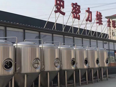 施秉精酿啤酒设备厂—如何判断精酿啤酒设备的密封件需要更换？